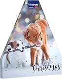 Vitakraft Adventskalender 2022 für Hunde – liebevoll zusammengestellte Auswahl leckerer fleischiger Snacks für die Vorweihnachtszeit (1x 244g)