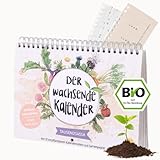 Der Wachsende Kalender TAUSENDSASSA zeitlos I Bio Samen zum Einpflanzen I Primoza pflanzbarer Kalender I Nachhaltiger Kalender mit 12 Samenstreifen I Samenkalender mit Bio Saatgut DIN A5